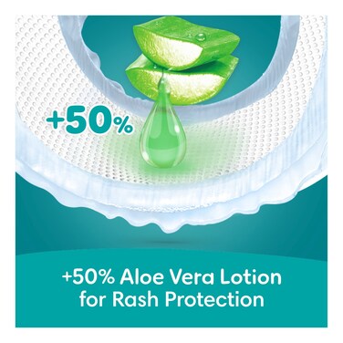 Pampers Rash Protection Taped Diapers, Size 6, 13+kg, 10 Pieces