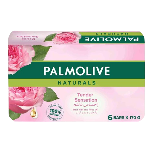 Palmolive Naturals Bar Soap Soft and Moisture with Milk and Rose 170g (6 pack)