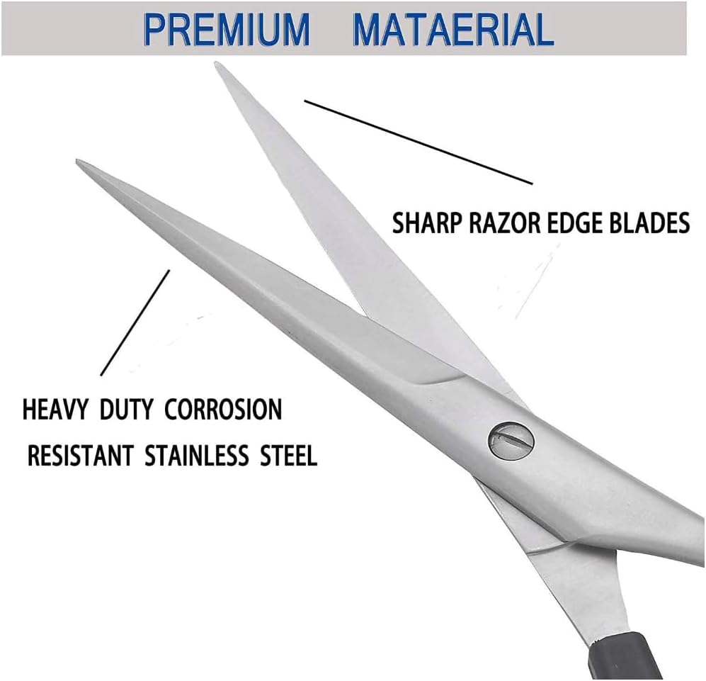 S.B.T Scissors Stainless Steel, 6 Inch
