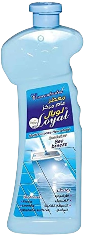 Loyal Sea Breeze Concentrated Multi-Purpose Household Deodorizer, 700ml