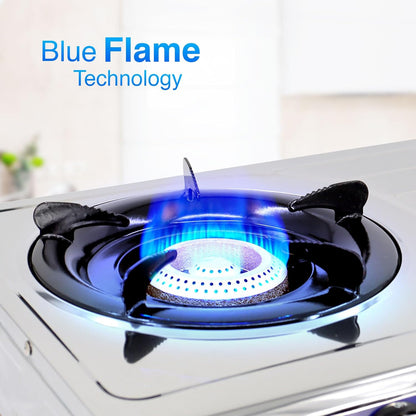 Mr. Light Two Burner Steel Gas Stove