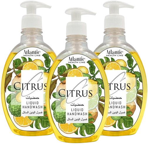 Atlantic Plain Mix Hand Wash, 3x500ml
