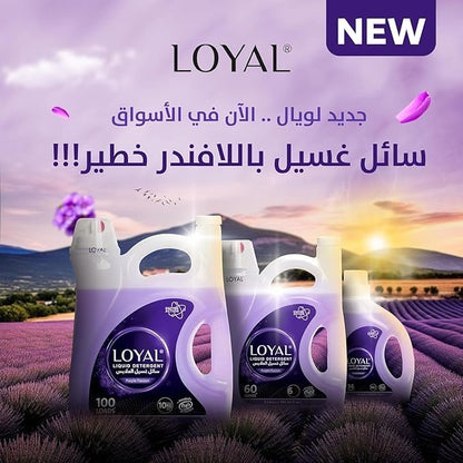Loyal Purple Passion Liquid Detergent, 5L