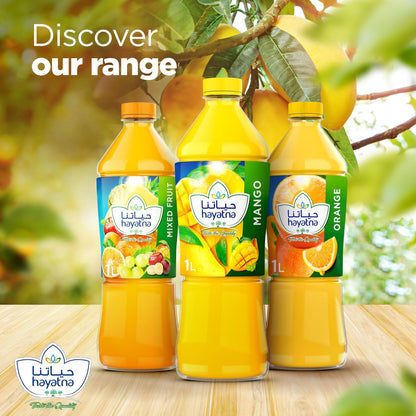 Hayatna Mango Juice No Added Sugar, 1L