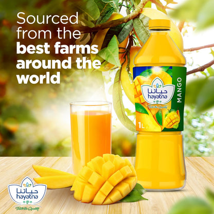 Hayatna Mango Juice No Added Sugar, 1L