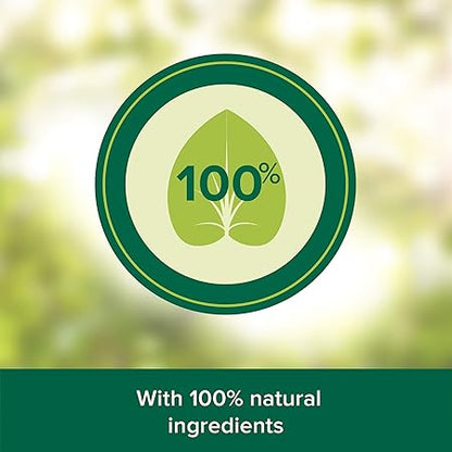 Palmolive Anti-Dandruff and Anti-Fall Shampoo for Fragile and Falling Hair, 100% Natural Ingredients, Green Tea Shampoo 380ml