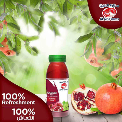 Al Ain Farms Pomegranate & Grape Juice 200ml