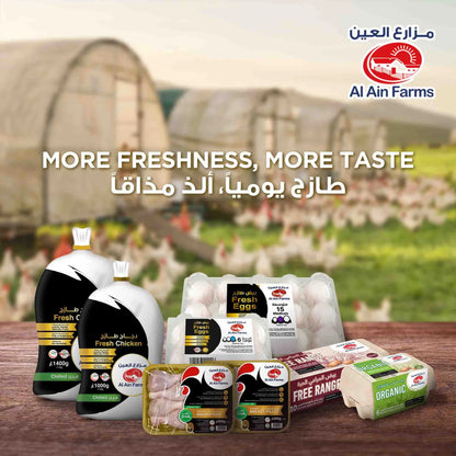 Al Aseel Jumbo XXL Eggs, 15 Pieces