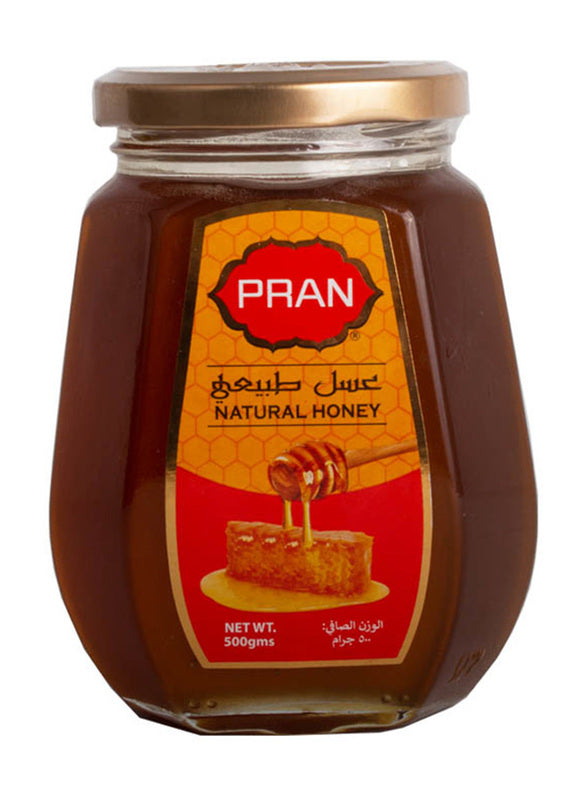 PRAN NATURAL HONEY 500gm