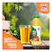 AL AIN APPLE JUICE 500ml