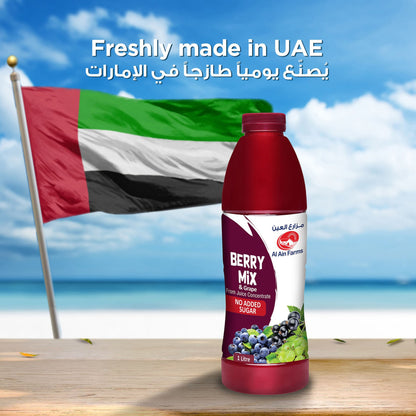 AL AIN GRAPE BERRY MIX JUICE 1Ltr