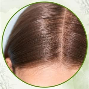 AMINA NTRL HENNA POWDER