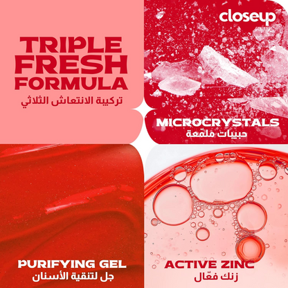 CLOSEUP EVERFRESH T/PASTE 120ml RED