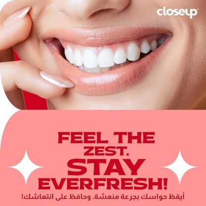 CLOSEUP EVERFRESH T/PASTE 120ml RED