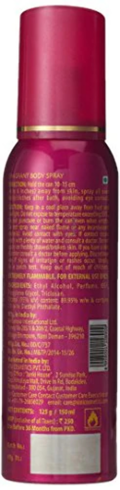 FOGG BODY SPRAY ESSENCE 120ml