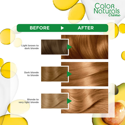 GARNIER HAIRCLR HAZEL BLOND
