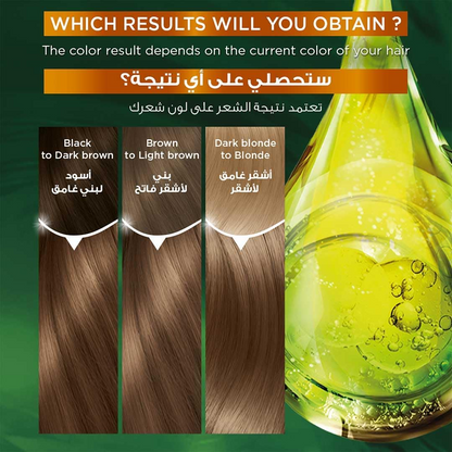 GARNIER HAIR COLOR 5 LIGHT BROWN