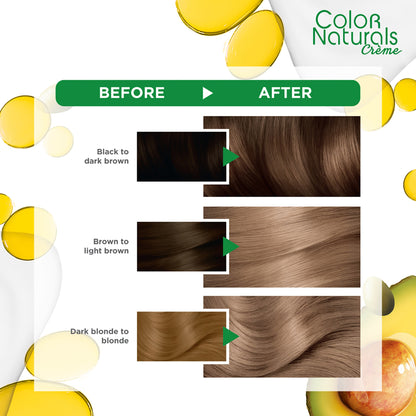 GARNIER HAIR COLOR 7.1 ASH BLONDE