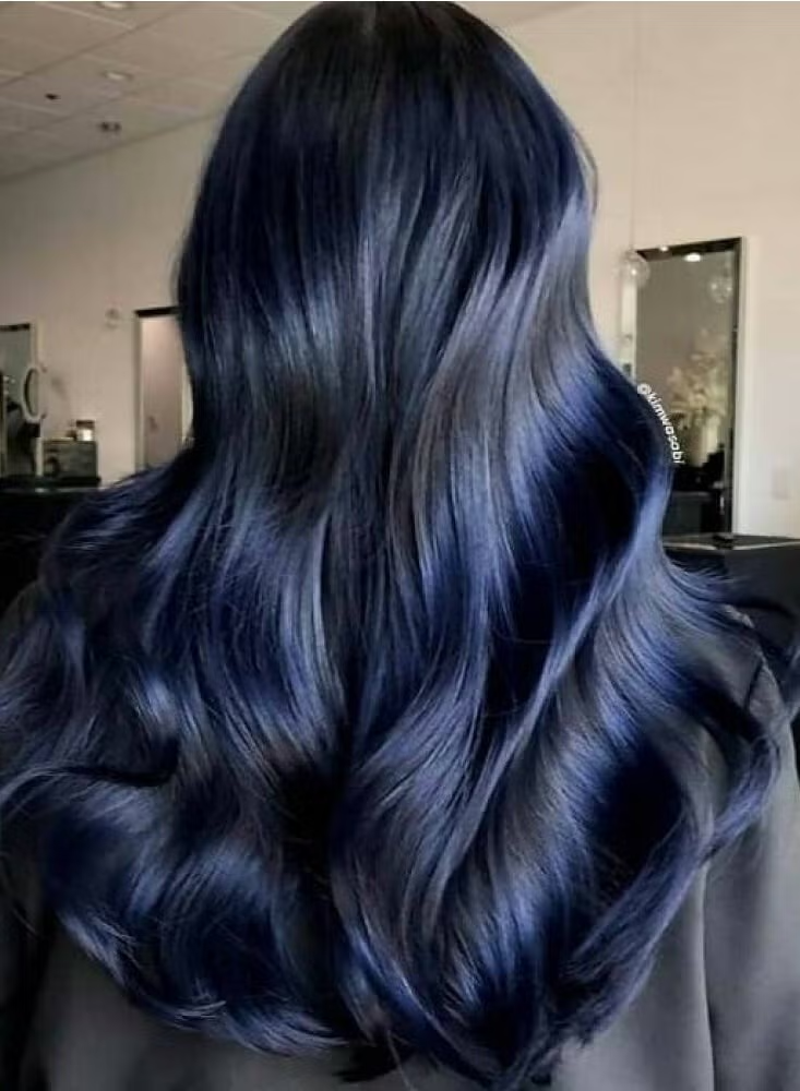 GARNIER PERMANENT HAIR COLOR 2.10