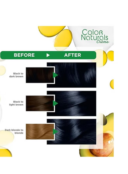 GARNIER PERMANENT HAIR COLOR 2.10