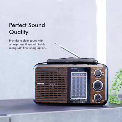 GEEPAS RADIO/MUSIC PLAYER GR6836BT