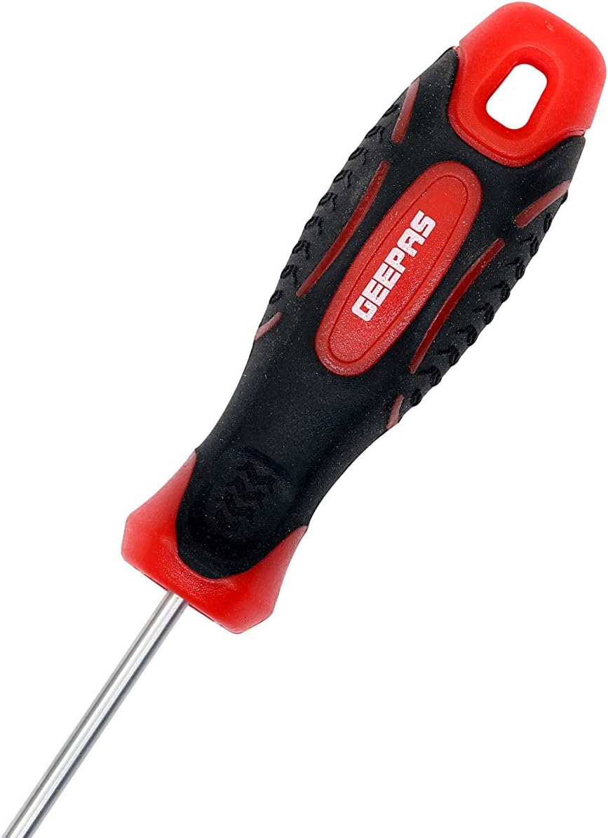 GEEPAS SCREWDRIVER 100mm GT59096