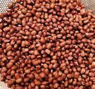 GULFAR RED CHOWLY 1Kg