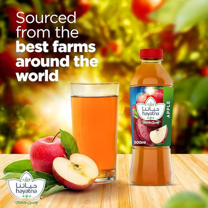 HAYATNA APPLE JUICE 500ml