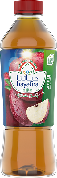 HAYATNA APPLE JUICE 500ml