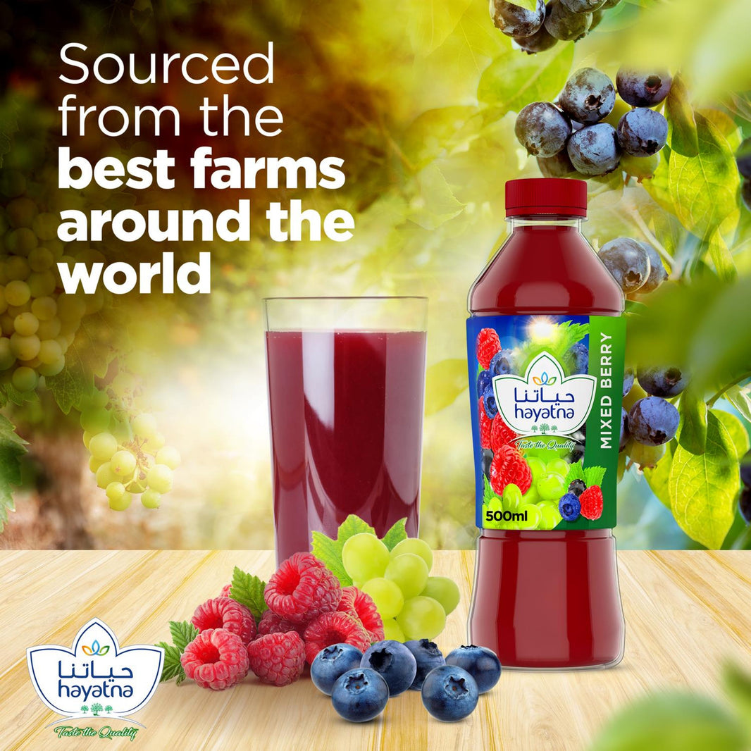 HAYATNA BERRYMIX JUICE 500ml