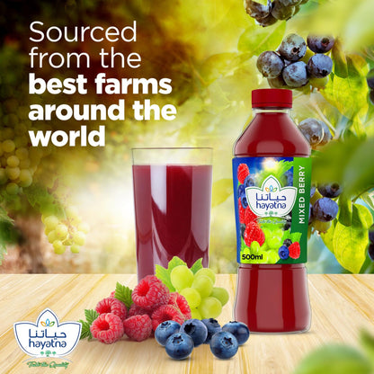 HAYATNA BERRYMIX JUICE 500ml