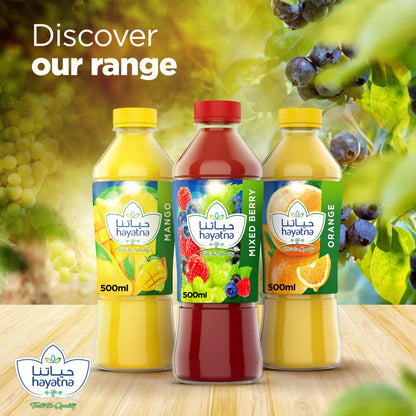 HAYATNA BERRYMIX JUICE 500ml