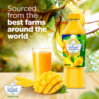 HAYATNA MANGO JUICE 500ml