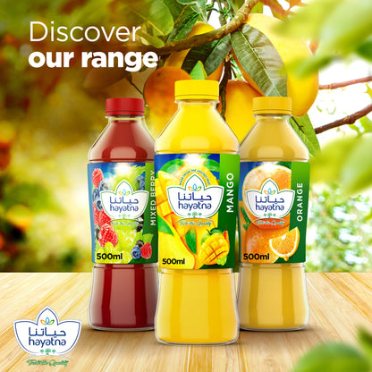 HAYATNA MANGO JUICE 500ml