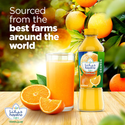 HAYATNA ORANGE JUICE 500ml
