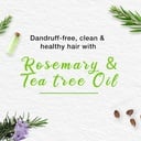 HIMALAYA ANTI-DANDRUFF SHAMPOO 400ML