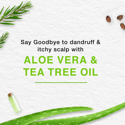 Himalaya Anti-Dandruff Hair Cream with Protein, Tea Tree & Aloe Vera Extracts, 2x140ml