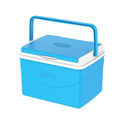 Cosmoplast Keep Cold Picnic Icebox, 5 Ltr