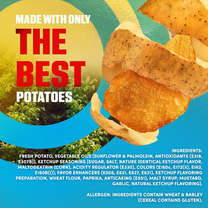 LAYS TOMATO KETCHUP 170gm