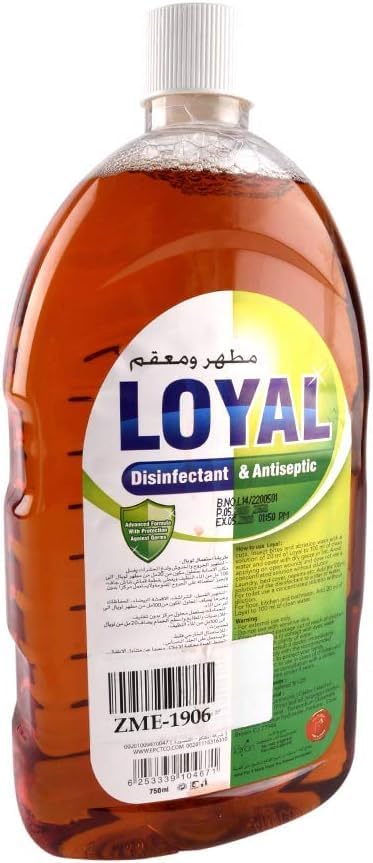 LOYAL DETTOL 750ml