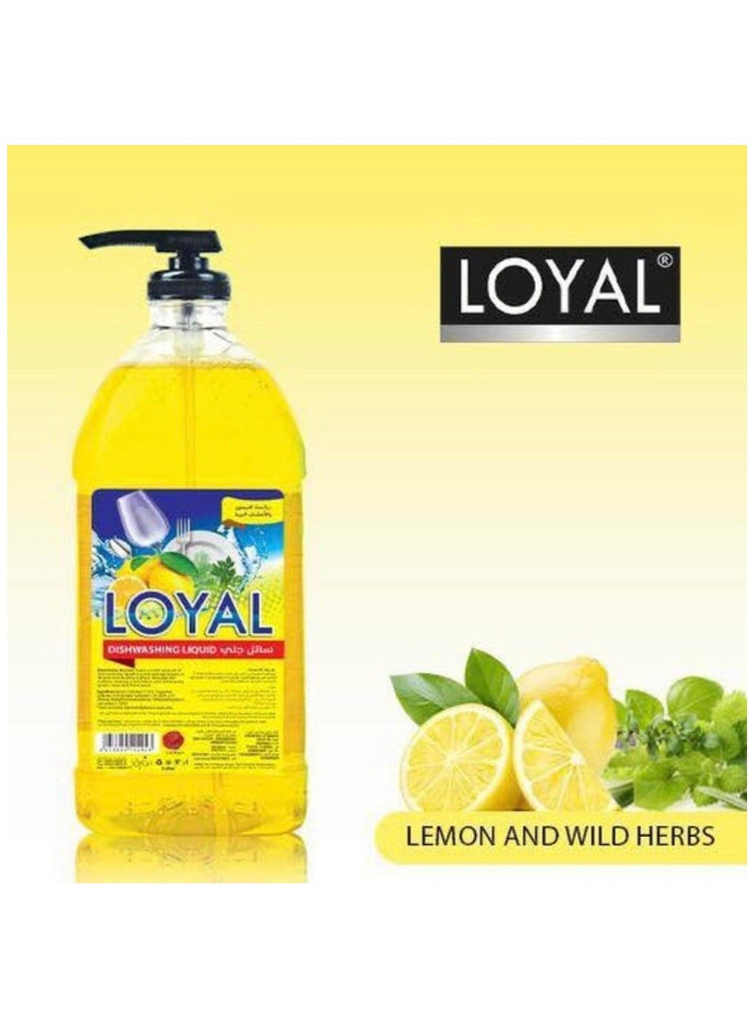LOYAL DISWASHING LIQUID 1L LMN