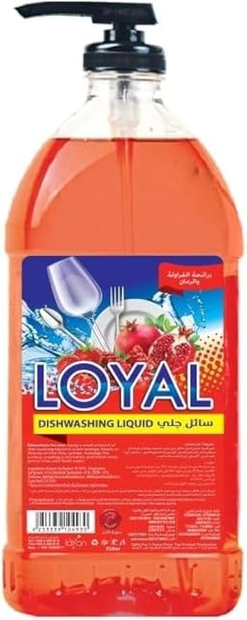 LOYAL DISWASHING LIQUID 1L STRB