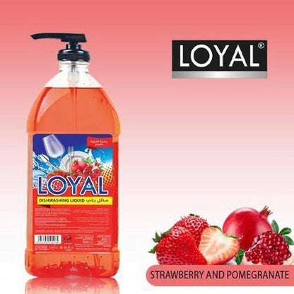 LOYAL DISWASHING LIQUID 1L STRB