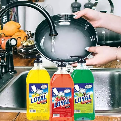 LOYAL DISWASHING LIQUID 1L STRB