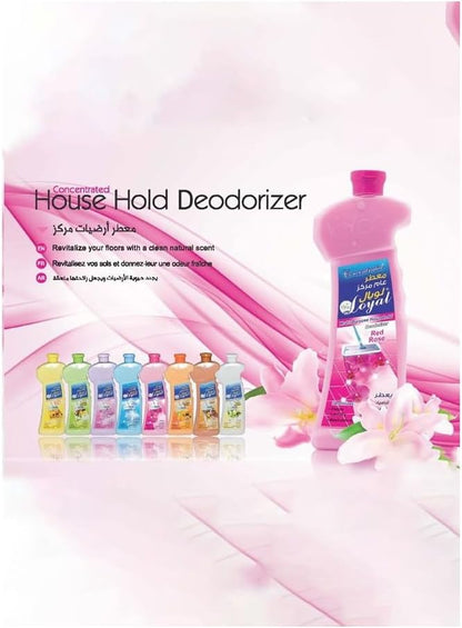 LOYAL MULTI PURPOSE 2100ml