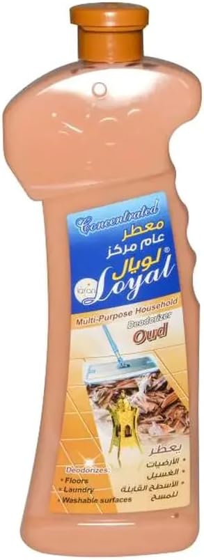 LOYAL MULTY PPS CLEANER OUD 700ml