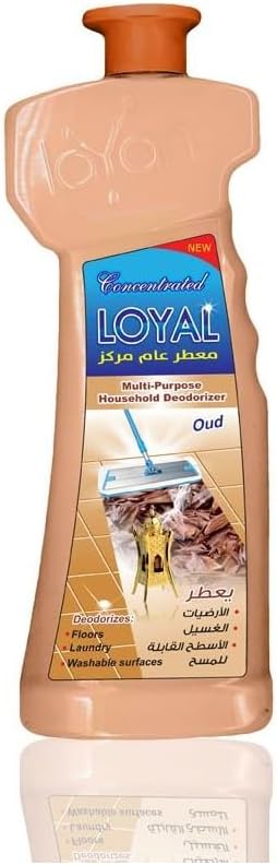 LOYAL MULTY PPS CLEANER OUD 700ml