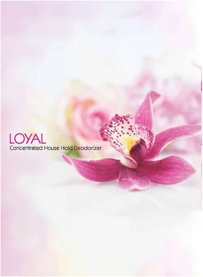 LOYAL MULTY PPS CLEANER OUD 700ml