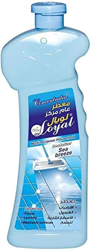 LOYAL MULTY PPS CLEANER SEA BREEZE 700ml