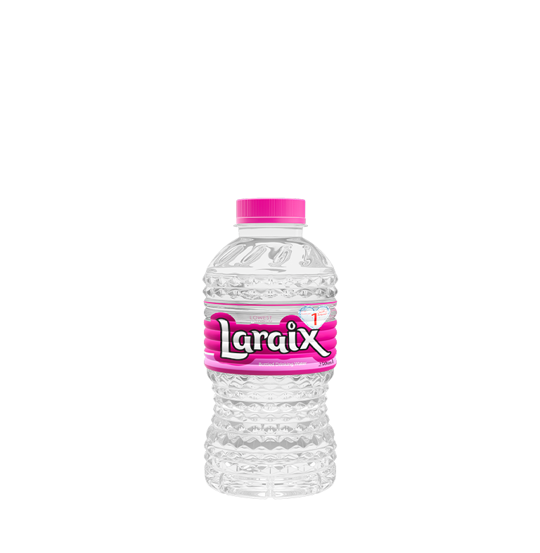 Laraix Bottled Drinking Water, 24x200ml